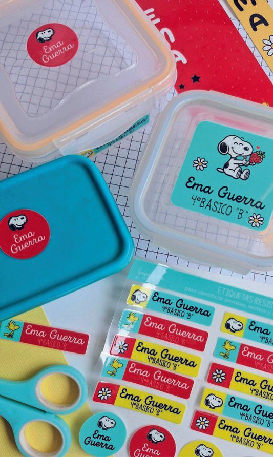 🌧️ Stickers contra agua (UV) para múltiples superficies.